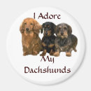 Suche nach dackeln magnete Hund