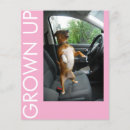 Suche nach s flyer Jede person