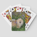 Suche nach sprache spielkarten Blume