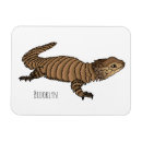 Suche nach lizard magnete Eidechse