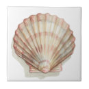 Suche nach strand muscheln fliesen Ozean