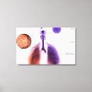 Suche nach menschliche organe leinwandbilder Horizontal