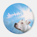 Suche nach pitbull magnete Weiß