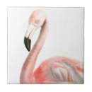 Suche nach tropische vögel fliesen Vogel