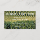 Suche nach mais visitenkarten Korn