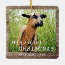 Suche nach ziege ornamente Weihnachten