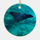 Suche nach für strahl ornamente Strahlen