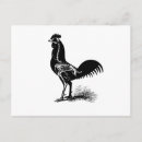 Suche nach vintage anatomie postkarten Zeichen