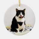 Suche nach weißes smoking ornamente Kitty