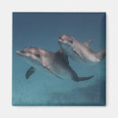 Suche nach pos magnete Fotografie