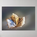 Suche nach gelber schnee poster Winter