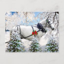 Suche nach maultiere postkarten Natur