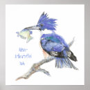 Suche nach kingfish poster Natur