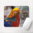 Suche nach fasan mousepads Gamebird