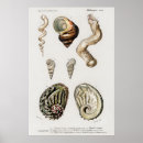 Suche nach verzieren poster Meer