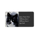 Suche nach tom katze Jede person