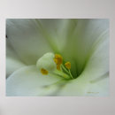 Suche nach easter kunst Nature