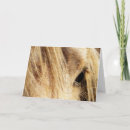 Suche nach mahn karten Palomino