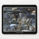 Suche nach graue wölfe mousepads Tierwelt