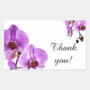 Suche nach phalaenopsis aufkleber Orchidee