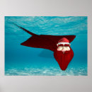 Suche nach manta poster Fisch