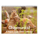 Suche nach 2013 wandkalender Wild lebende tiere