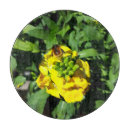 Suche nach bienen schneidebrettchen Honigbiene