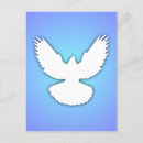 Suche nach weiße taube postkarten Friedenstruppe