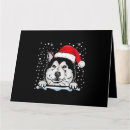 Suche nach schlittenhunde karten Alaskan malamute