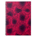 Suche nach fotomanipulation Blume