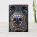 Suche nach lustiger labrador geburtstag karten Haustier