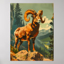 Suche nach sheep poster Bighornschaf