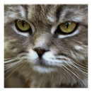 Suche nach künstlerische katze poster Für alle