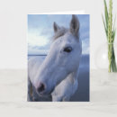 Suche nach camargue karten Wildpferd