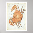 Suche nach astrologie poster Vintage