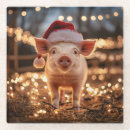 Suche nach ferkel untersetzer Jede person