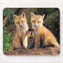 Suche nach bau mousepads Rotfuchs