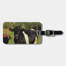 Suche nach stier gepäckanhänger Kuh