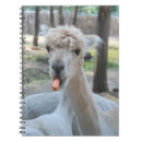 Suche nach kamel kleine notizbücher Natur