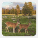 Suche nach yosemite aufkleber Kalifornien