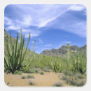Suche nach pipe aufkleber Arizona