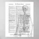 Suche nach chirurg poster Arzt