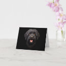 Suche nach labradoodles karten Tiere