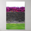 Suche nach kona poster Tropisch