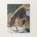 Suche nach fohlen puzzle Niedlich