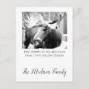 Suche nach moose karten Urlaub