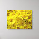 Suche nach chrysanthemen leinwandbilder Herbst