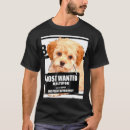 Suche nach maltipoo kleidung Maltesisch