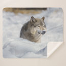 Suche nach wolf im schnee decken Natur