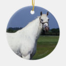 Suche nach appaloosa ornamente Bob langrish